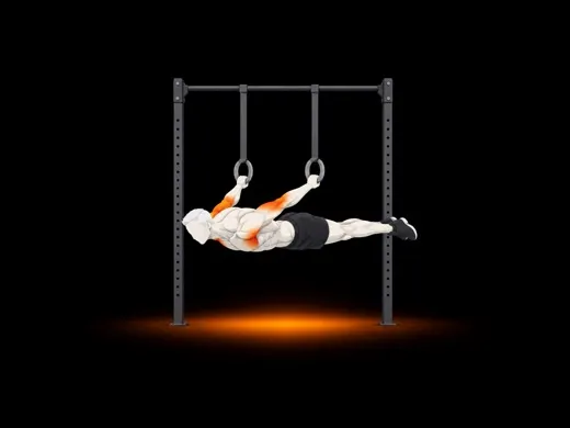 Back Lever illustration