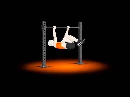 Tuck Front Lever illustration