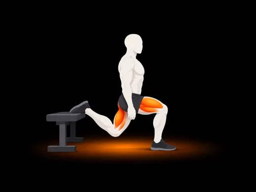 Bulgarian Split Squat illustration